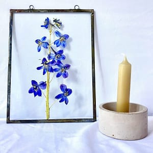 Hanglijst 18 x 24 Blauwe ridderspoor