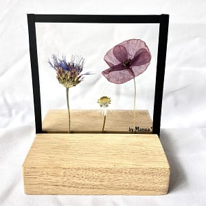 Korenbloem, madeliefje en klaproos 10 x 10