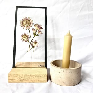 Zeeuws Knoopje 10 x 20