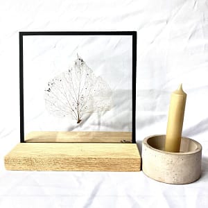 Skelet van een blad 20 x 20