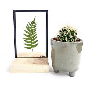 Lijst met groen blad 10 x 15
