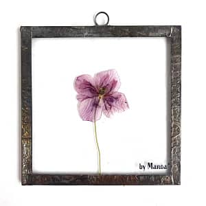 Hanglijst 10 x 10 donker roze/paarse klaproos