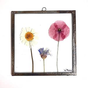 Hanglijst 15 x 15 Margriet, korenbloem en klaproos