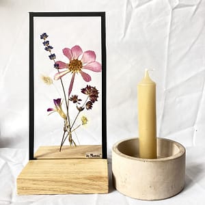 Lijst met lavendel, cosmea en zeeuws knoopje  10 x 20