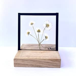 10 x 10 madeliefjes