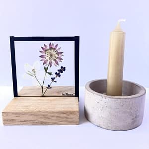 10 x 10 Witte ridderspoor, Zeeuws knoopje en lavendel