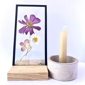 Lijst met cosmea, margriet en hortensia