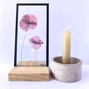 Lijst met 2 klaprozen (1) 10 x 20