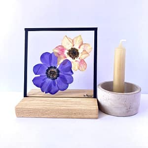 Anemonen 15 x 15