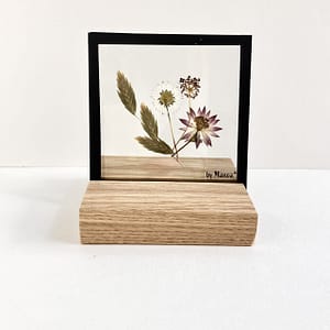 10 x 10 miniboeket met madeliefje en Zeeuws Knoopje