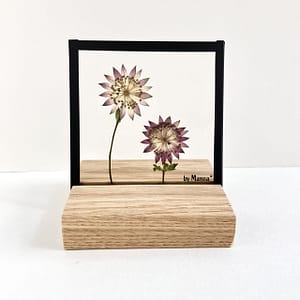 10 x 10 Zeeuws Knoopje