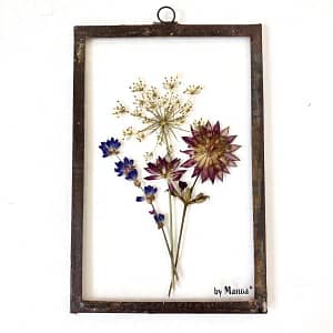 Hanglijst 10 x 15 Lavendel, Zeeuws Knoopje en fluitekruid
