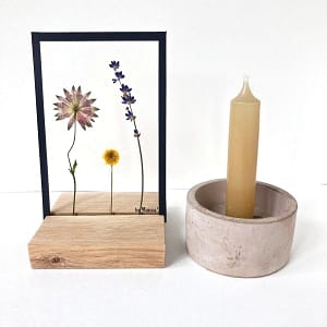 Lijst met Zeeuws knoopje, margriet en lavendel  10 x 15
