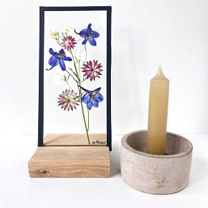 Lijst met blauwe, witte ridderspoor en zeeuws knoopje 10 x 20