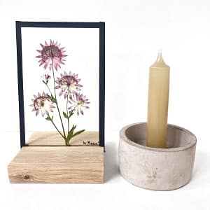 Lijst met Zeeuws knoopje 10 x 15