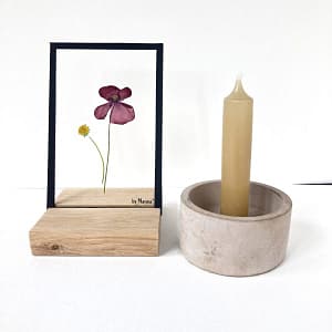 Lijst met een madeliefje en klaproos 10 x 15
