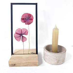 Lijst met 2 klaprozen 10 x 20
