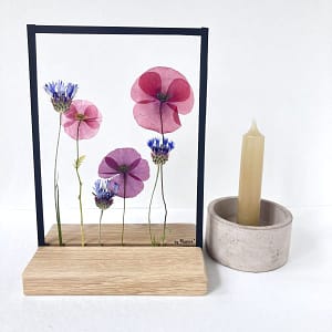 Klaprozen met korenbloemen 15 x 20