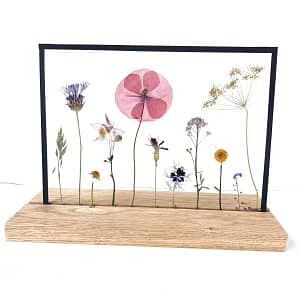 Bloemen in het veld (liggend)   20 x 27
