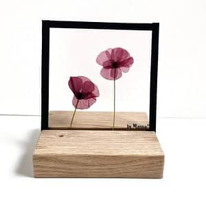 10 x 10 2 klaproosjes