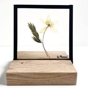 10 x 10 bosanemoon