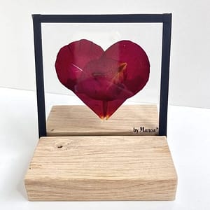 10 x 10 hartje