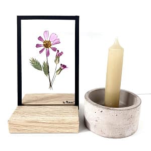 Lijst 10 x 15 Cosmea en koekruid