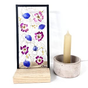 10 x 20 Lijst speciale mix hortensia en Zeeuws knoopje (kopie)