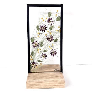 10 x 20 Lijst speciale mix Zeeuws knoopje met gras en mimosa