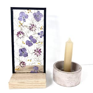 10 x 20 Lijst speciale mix hortensia en Zeeuws knoopje
