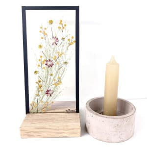 10 x 20 Lijst speciale mix madeliefjes met mimosa