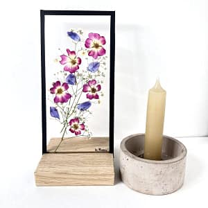 10 x 20 Lijst speciale mix gipskruid, roosjes en ridderspoor