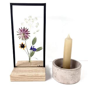 10 x 20 Lijst zeeuws knoopje en schermbloem