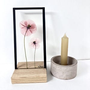 10 x 20 Lijst met 2 klaprozen (2)