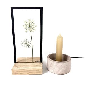 10 x 20 Lijst Schermbloemen