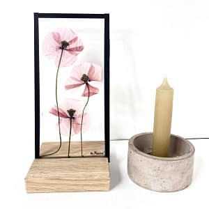 10 x 20 Lijst met 3 klaprozen