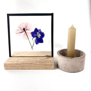 15 x 15  klaproos met ridderspoor