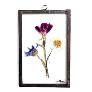 Hanglijst 10 x 15 korenbloem, stokroos en kamille