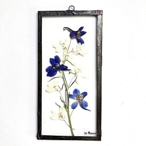 Hanglijst 10 x 20 Witte en blauwe ridderspoor