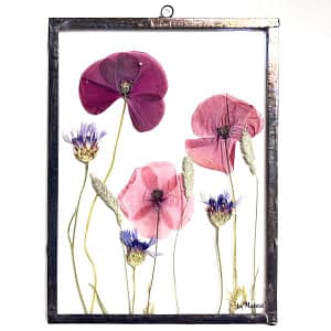 Hanglijst 15 x 20 klaprozen in het veld