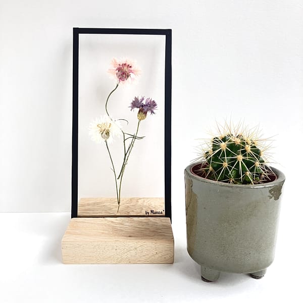 Lijst met 3 korenbloemen10 x 20