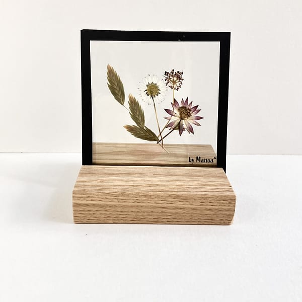 10 x 10 miniboeket met madeliefje en Zeeuws Knoopje