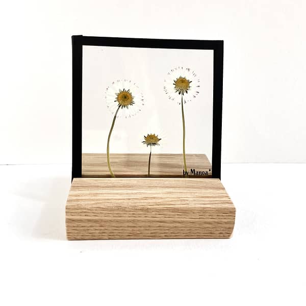 10 x 10 Madeliefjes