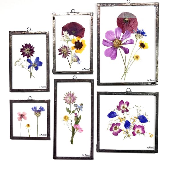 Hanglijst 15 x 15 Speciale bloemenmix - Afbeelding 2